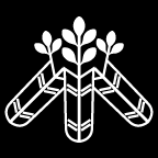 中陰鷹の羽桐